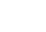 ikona